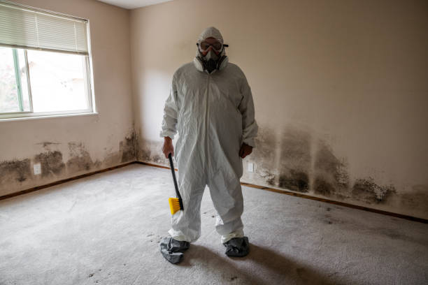 Best Industrial Mold Remediation  in Taft Mosswood, CA